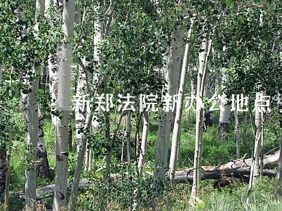 新郑法院新办公地点 新郑法院新办公地点