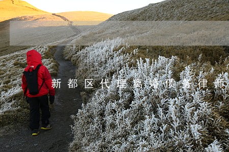 新都区代理离婚债务律师 新都区代理离婚债务律师