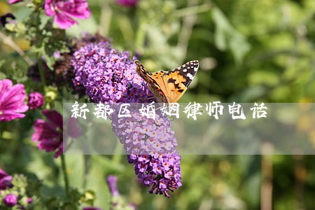 新都区婚姻律师电话 新都区婚姻律师电话
