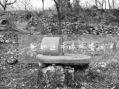 新都区市涉外婚姻律师收费如何 新都区市涉外婚姻律师收费如何