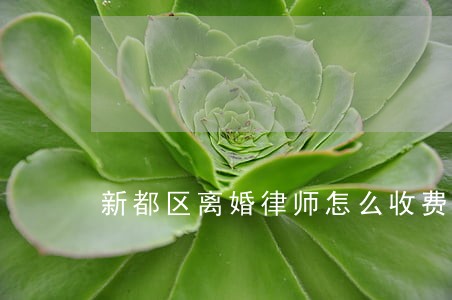新都区离婚律师怎么收费 新都区离婚律师怎么收费
