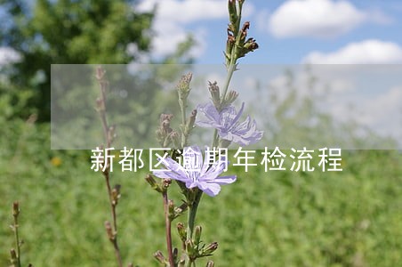 新都区逾期年检流程 新都区逾期年检流程