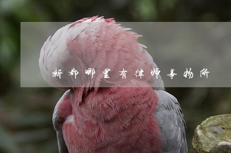 新都哪里有律师事物所 新都哪里有律师事物所