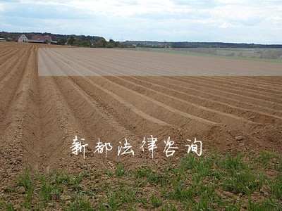 新都法律咨询 新都法律咨询