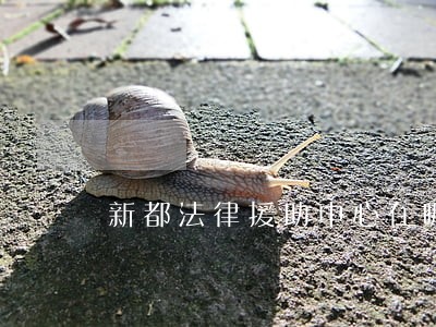 新都法律援助中心在哪里 新都法律援助中心在哪里
