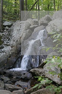 新都离婚律师咨询莲新街 新都离婚律师咨询莲新街