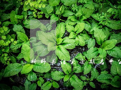 新野县信贷逾期名单公布 新野县信贷逾期名单公布