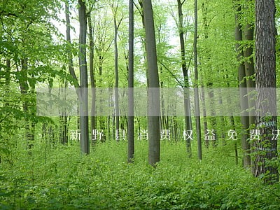 新野县消费权益免费法律咨询热线 新野县消费权益免费法律咨询热线