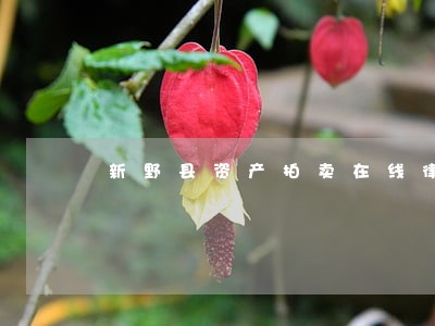 新野县资产拍卖在线律师 新野县资产拍卖在线律师