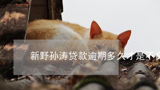 新野孙涛贷款逾期多久才是不良 新野孙涛贷款逾期多久才是不良
