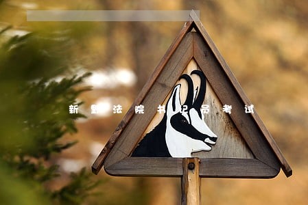 新野法院书记员考试 新野法院书记员考试