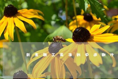 新金融工具准则中逾期什么意思 新金融工具准则中逾期什么意思