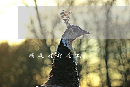 新锐理财逾期 新锐理财逾期