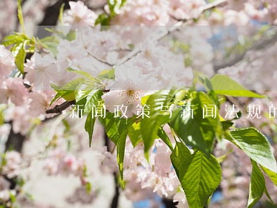 新闻政策与新闻法规的异同 新闻政策与新闻法规的异同