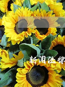 新闻法律和法规