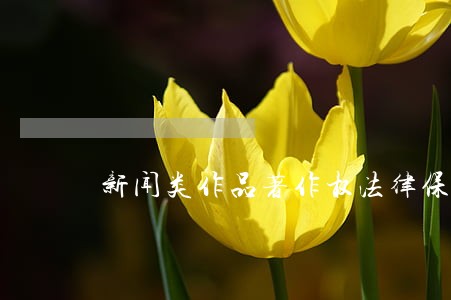 新闻类作品著作权法律保护分析 新闻类作品著作权法律保护分析