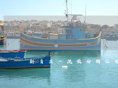 新青区一流股份转让律师 新青区一流股份转让律师