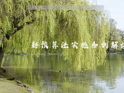 新预算法实施条例解读ppt 新预算法实施条例解读ppt