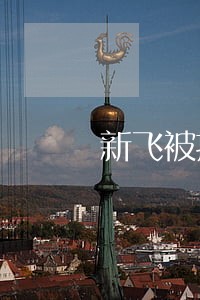 新飞被拍卖 新飞被拍卖