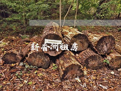 新香洲租房 新香洲租房