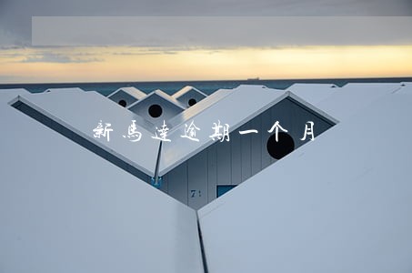 新马达逾期一个月 新马达逾期一个月