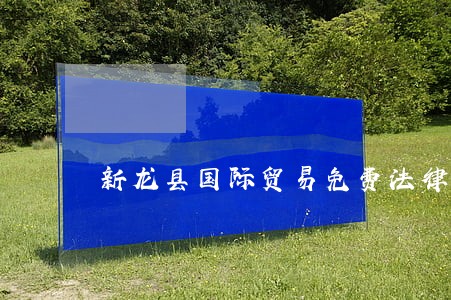 新龙县国际贸易免费法律咨询 新龙县国际贸易免费法律咨询