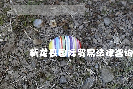 新龙县国际贸易法律咨询 新龙县国际贸易法律咨询