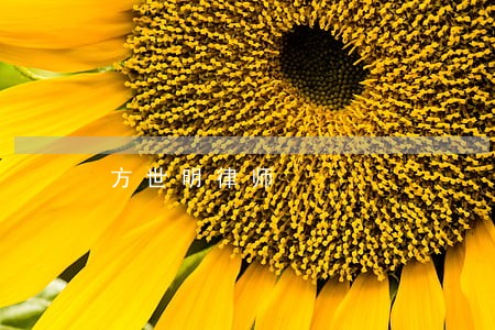 方世明律师 方世明律师