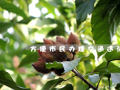 方便市民办理交通违法处罚 方便市民办理交通违法处罚