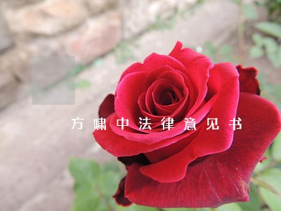 方啸中法律意见书 方啸中法律意见书