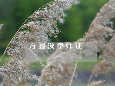 方圆没律师证 方圆没律师证