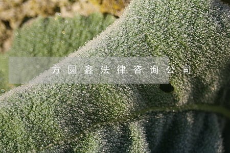 方圆鑫法律咨询公司 方圆鑫法律咨询公司