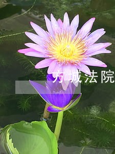 方城法院最近判刑案件 方城法院最近判刑案件