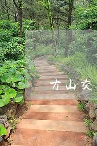 方山交警公示一批逾期未换证名单 方山交警公示一批逾期未换证名单