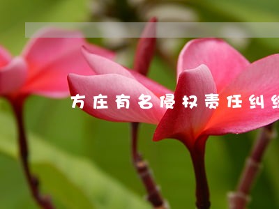 方庄有名侵权责任纠纷律师咨询 方庄有名侵权责任纠纷律师咨询