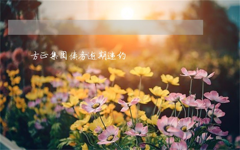 方正集团债务逾期违约