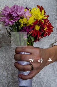 方特年票逾期没升级会退款吗