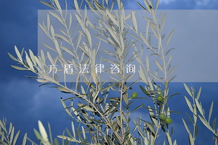 方盾法律咨询