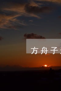 方舟子遇袭后委托律师请贴身护卫 方舟子遇袭后委托律师请贴身护卫