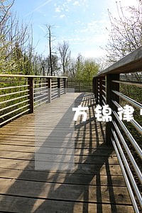 方锦律师 方锦律师