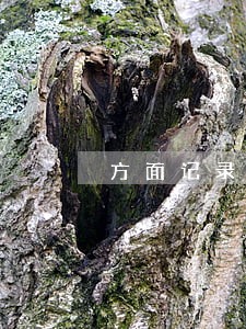 方面记录逾期