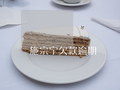 施宗宁欠款逾期 施宗宁欠款逾期