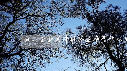 施工企业考评数据逾期有什么后果 施工企业考评数据逾期有什么后果