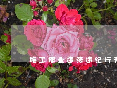 施工作业违法违纪行为 施工作业违法违纪行为