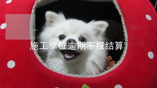 施工单位逾期不报结算 施工单位逾期不报结算
