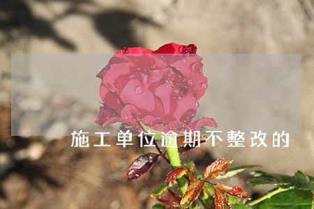 施工单位逾期不整改的 施工单位逾期不整改的
