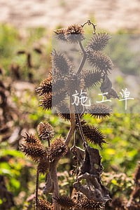 施工单位逾期完工 施工单位逾期完工