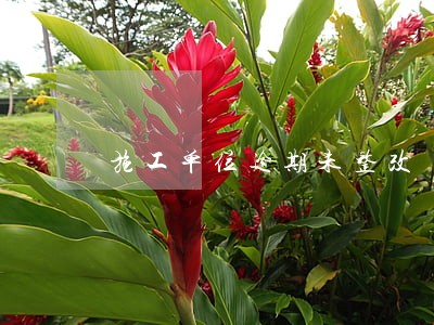 施工单位逾期未整改 施工单位逾期未整改