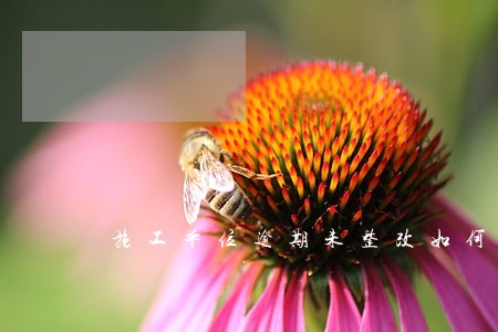 施工单位逾期未整改如何处罚