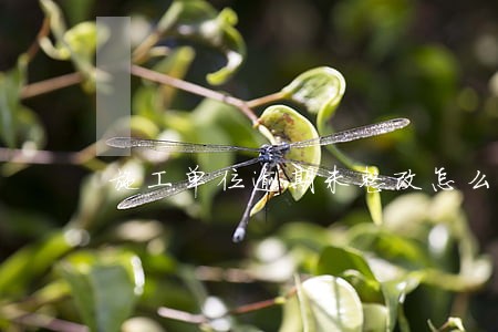 施工单位逾期未整改怎么办 施工单位逾期未整改怎么办
